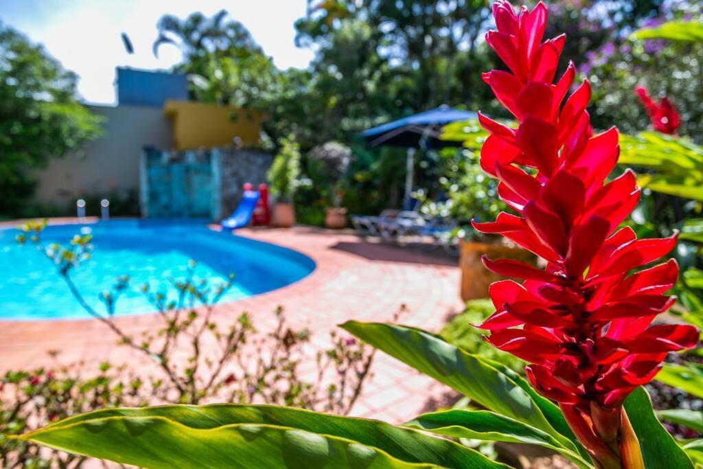 Casa Maravilhosa C Piscina, Jardim, Churrasqueira Villa Riviera de Sao Lourenco Buitenkant foto